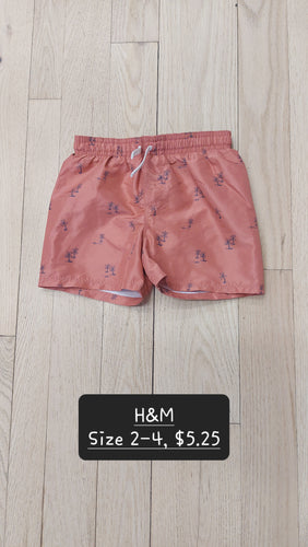H&M boy's bathing suit 2-4
