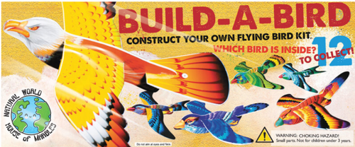 Build-A-Bird Flying Kit