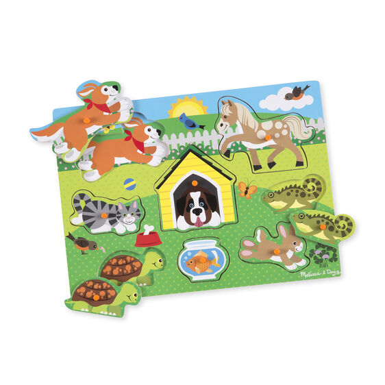 Wooden Peg Puzzle