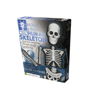 Mould & Paint - Human Skeleton
