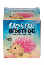 Load image into Gallery viewer, Crystal Hedgehog