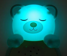 Load image into Gallery viewer, Sweet Dreamz on the Go - Aqua Bear