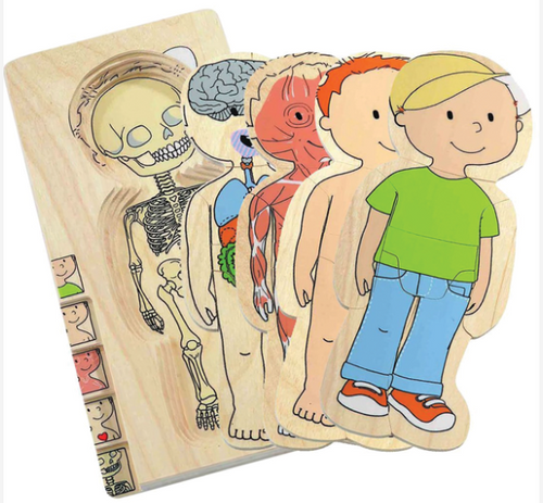 Your Body - Boy 5 Layer Puzzle