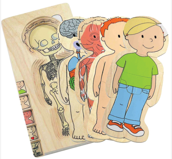 Your Body - Boy 5 Layer Puzzle