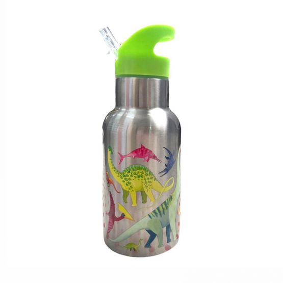 Stainless Bottle-Dinosaur Roar