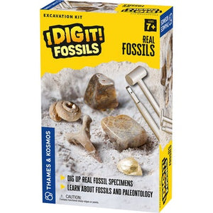 I Dig It! Real Fossils