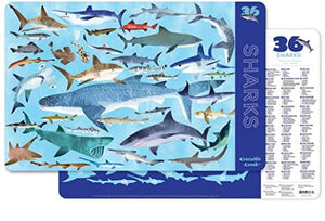 Placemat - Sharks
