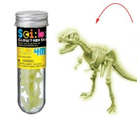Glow T-Rex Skeleton