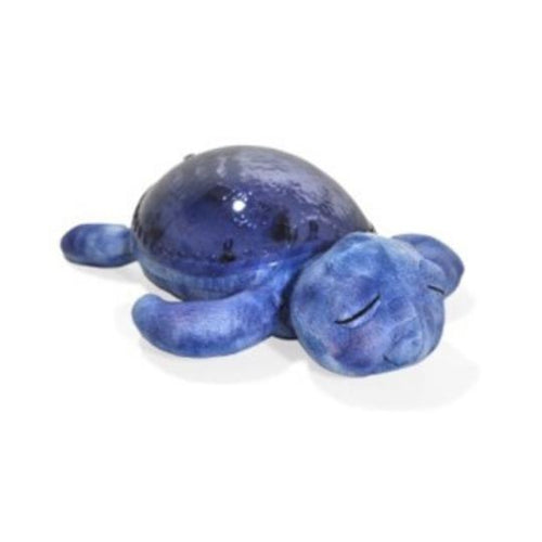 Tranquil Turtle - Blue