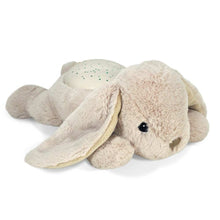 Load image into Gallery viewer, Twilight Buddies - Bunny