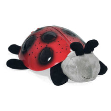 Load image into Gallery viewer, Twilight Ladybug - Classic